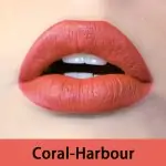 Lois Chloe 8 Hrs Long Lasting Liquid Matte Lipstick – Coral Harbour