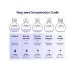 fragrance concentration guide